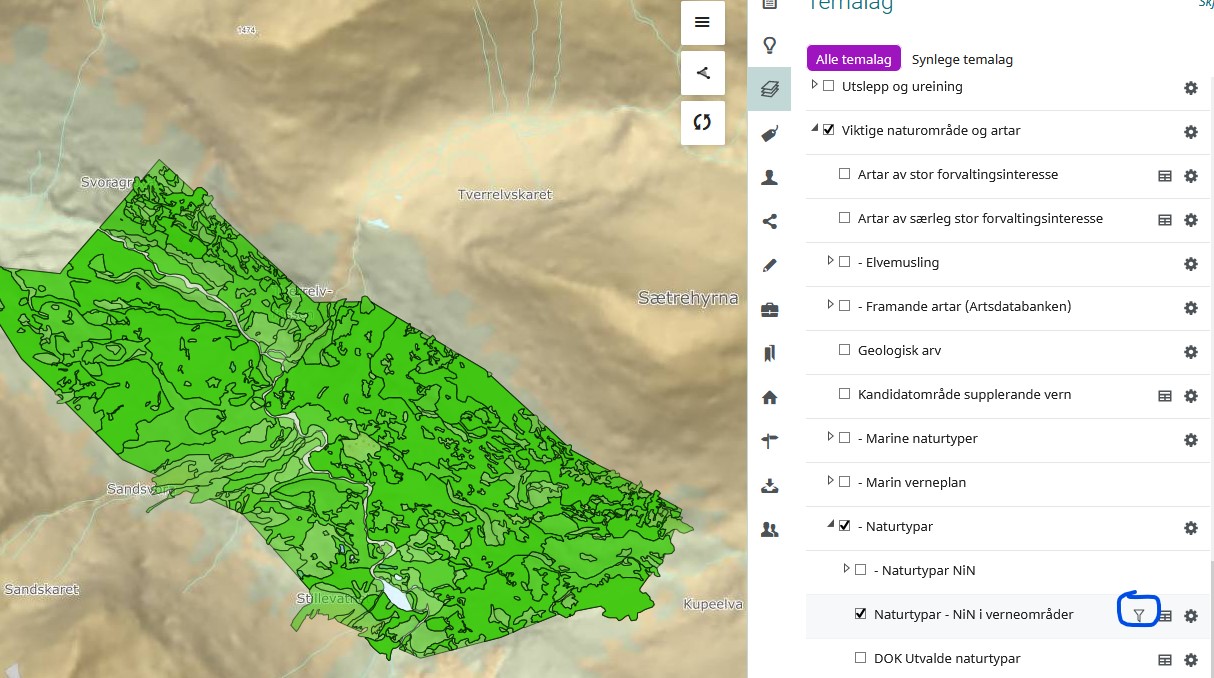 Kart med ulike grøne flater. Temaliste der naturtyper - NIN i verneområder er skrudd på. Symbol for filtrering er utheva med blå sirkel.